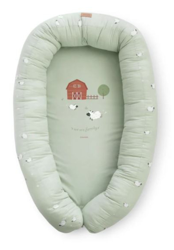 NIDO DE COLECHO 2 EN 1