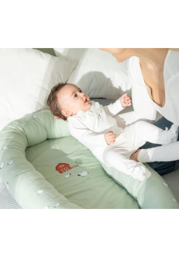 NIDO DE COLECHO 2 EN 1