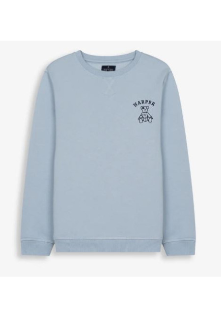 SUDADERA ARTHUR KIDS LIGHT BLUE