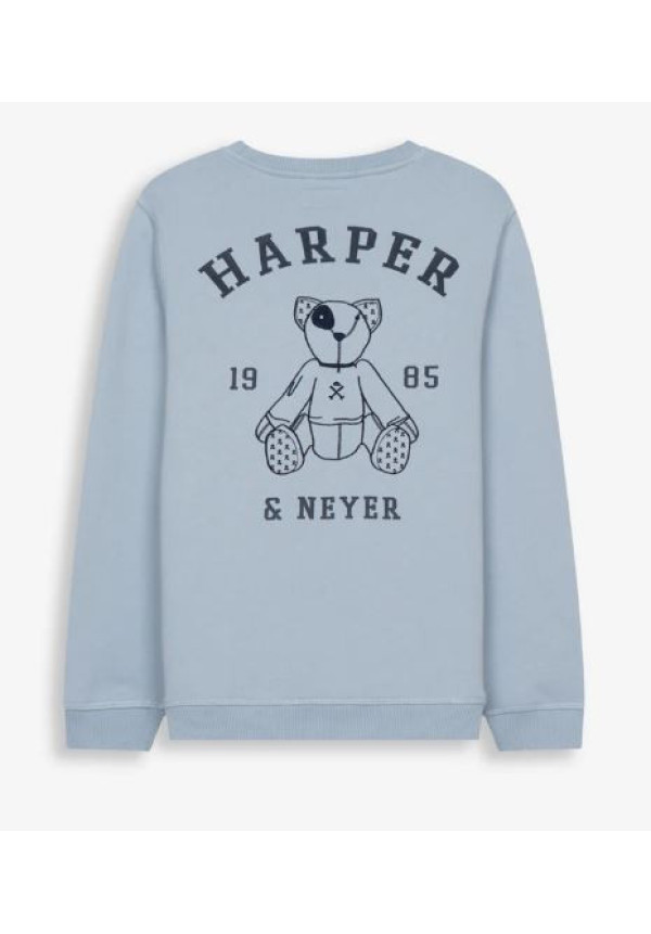 SUDADERA ARTHUR KIDS LIGHT BLUE